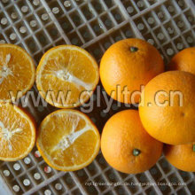 Chinesischer Export Standard Fresh Valencia Orange